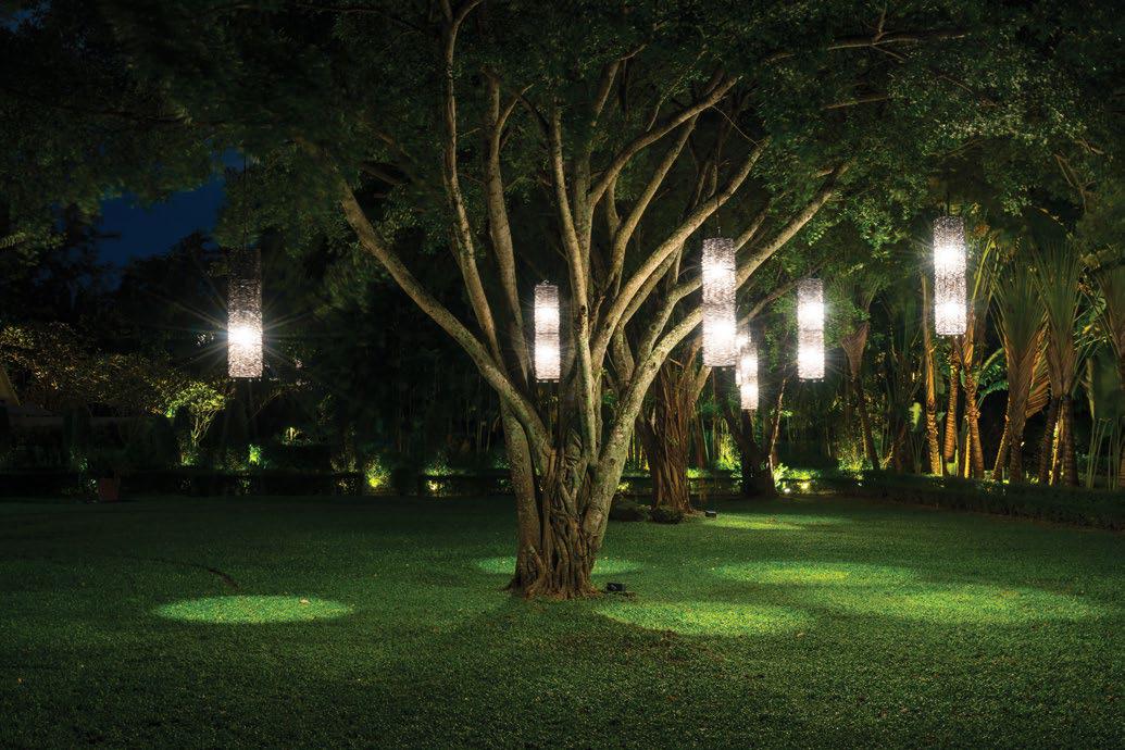 Landscaped Garden